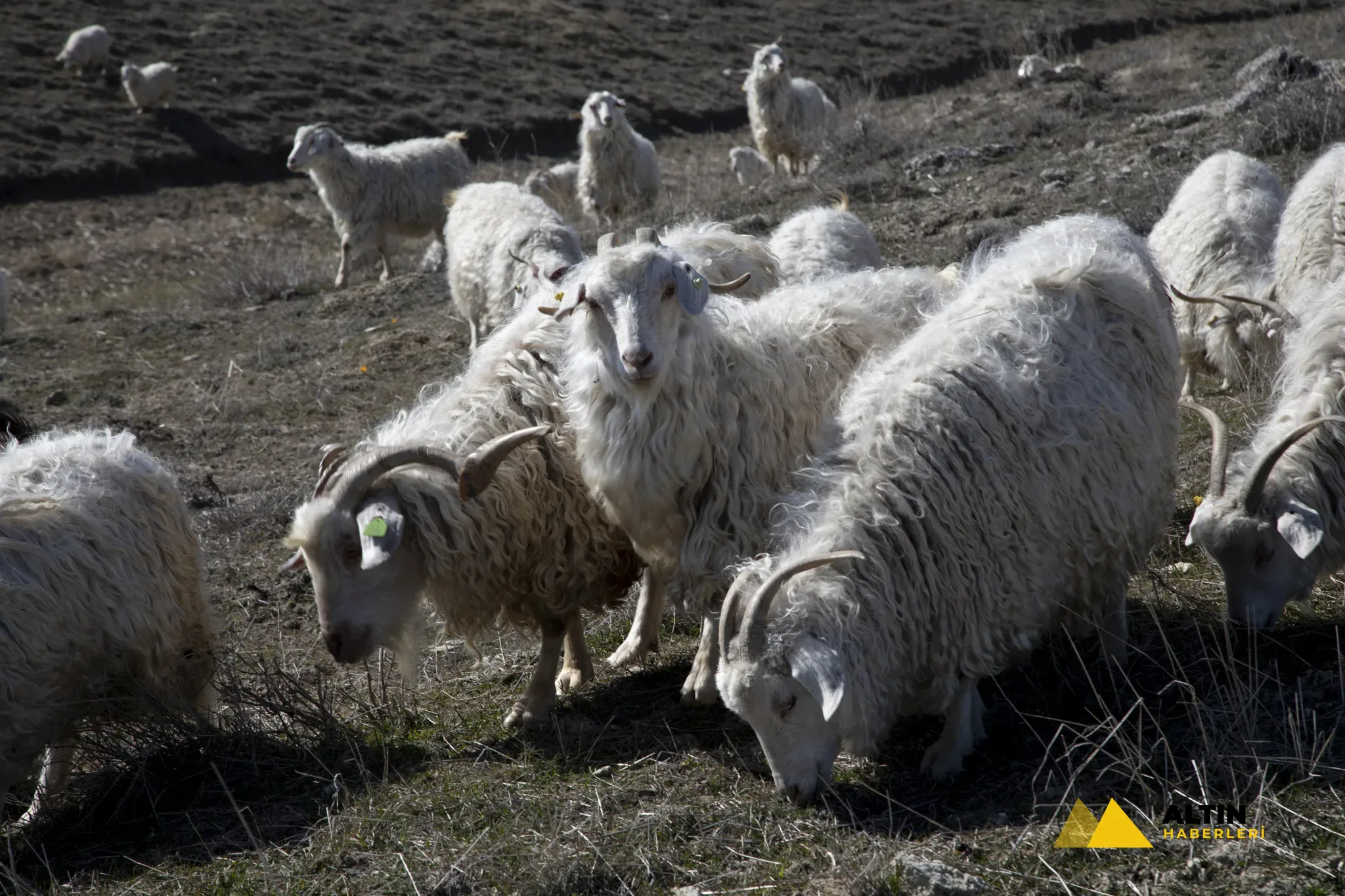 Savunma, sağlık, tarım ve havacılık: İç Anadolu’nun 13 ilinde üretim seferberliği