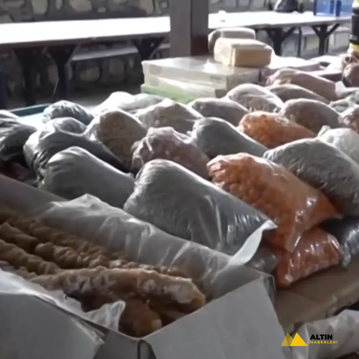 Köy hayatı geri dönüyor: Dicle’de organik pazarla üretim canlandı