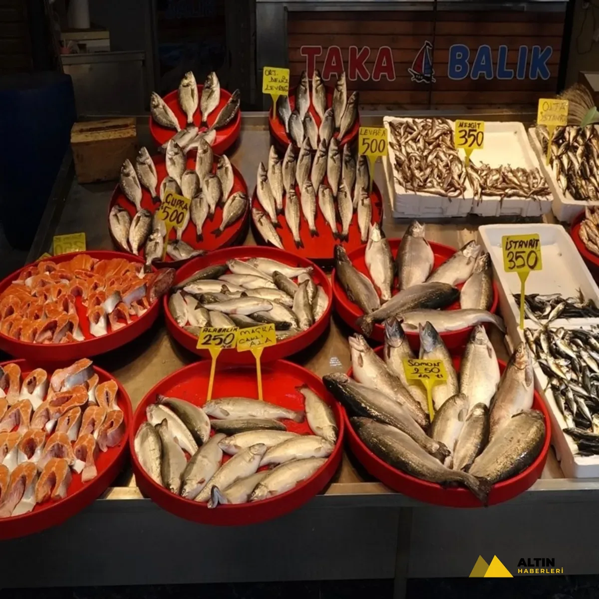 Av yasağında kültür balıklarına ilgi arttı