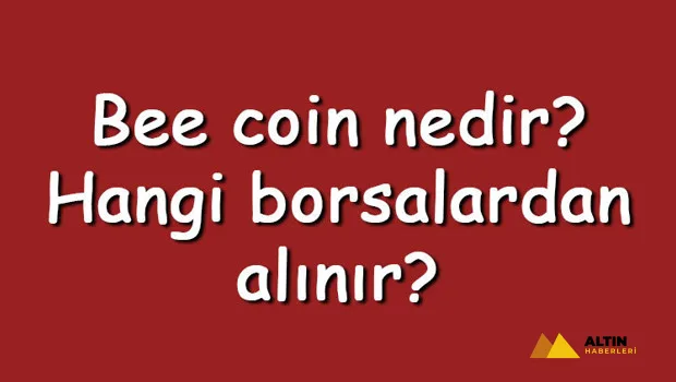 Bee coin nedir? Hangi borsalardan alınır? Bee Token ne zaman çıktı? Ne iş yapar?