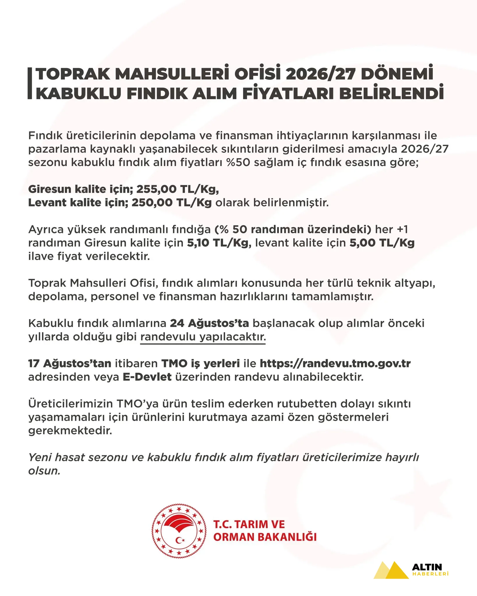 2026/2027 kabuklu fındık alım fiyatları açıklandı! TMO yüksek randımanlı ürüne ek ödeme yapacak